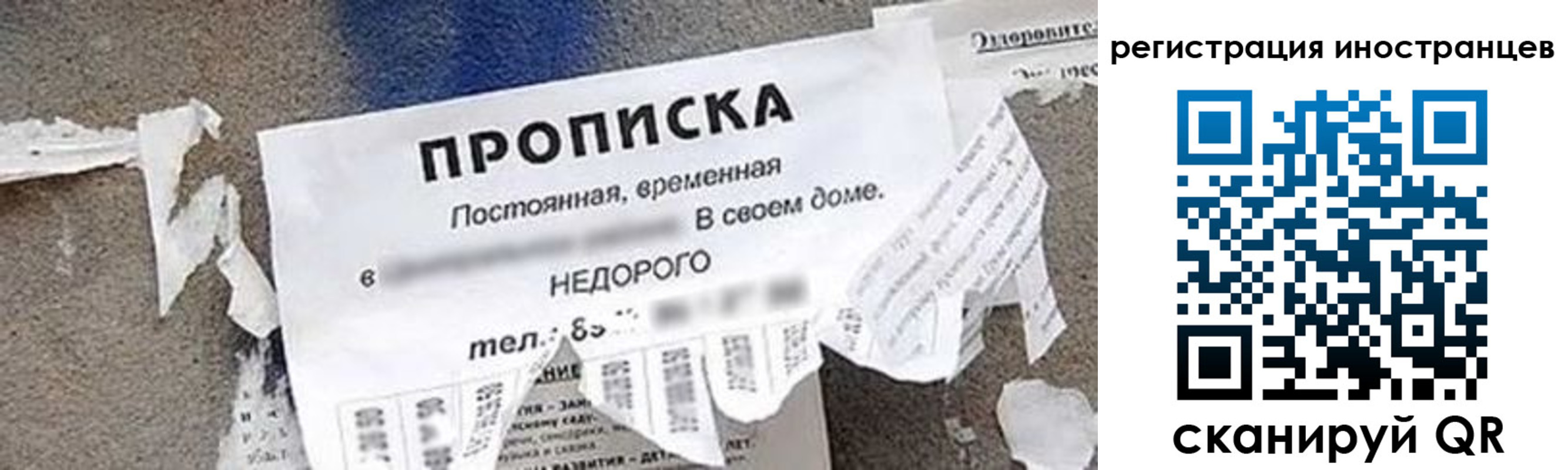 купить прописку в Геленджике